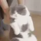 路人