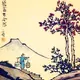 万花十四剑