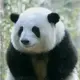 用户列表