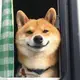 dadaokong