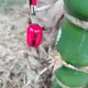 用户列表