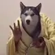 lij