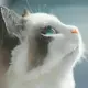 564
