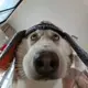 2206489096