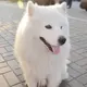 xyqlongzxc