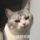 墓尸淋都是牲口