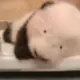 php_4年生