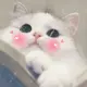 mr