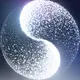 好玩就买