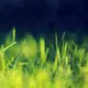 雲典網 的頭像