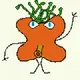 jerry