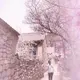 用户列表