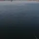 用户列表