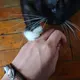 admin的头像