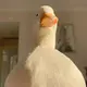 临界