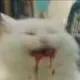 00000