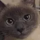 用户列表