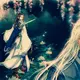 museshaoxia