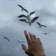 北海北