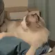 刘钰