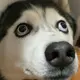 222