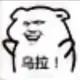 逐梦