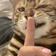 用户列表