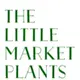 little plants的头像