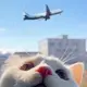 啧啧啧
