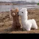 yunyunyuning的头像