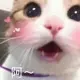 狡猫三窝