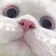 用户列表