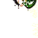 豫潢大帝