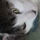 不在意