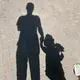 龙叶
