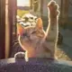 三点半