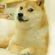 zwei