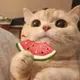 GHYYDS