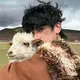 petter 的頭像