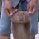 超级软的泡泡