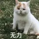 啊呱