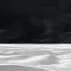 诺辛涅斯