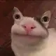 419484