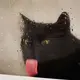 北海拾遗
