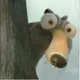 lindowx