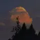 白粥