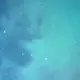 爆肝