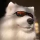 林冲