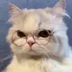 688
