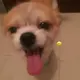 bensean的头像